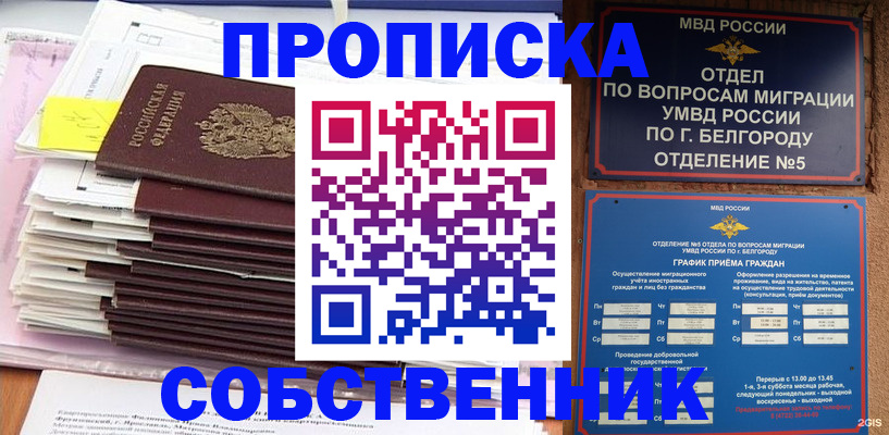 прописка законно в Бакале